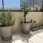 Terrace *