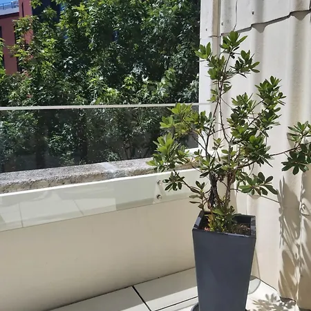 Terrace Daire Porto